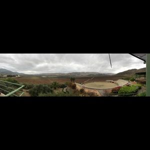 Meet your Posher, Brenda